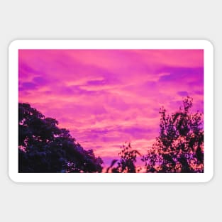 Yesterday's Pink Sky Photograph Sticker